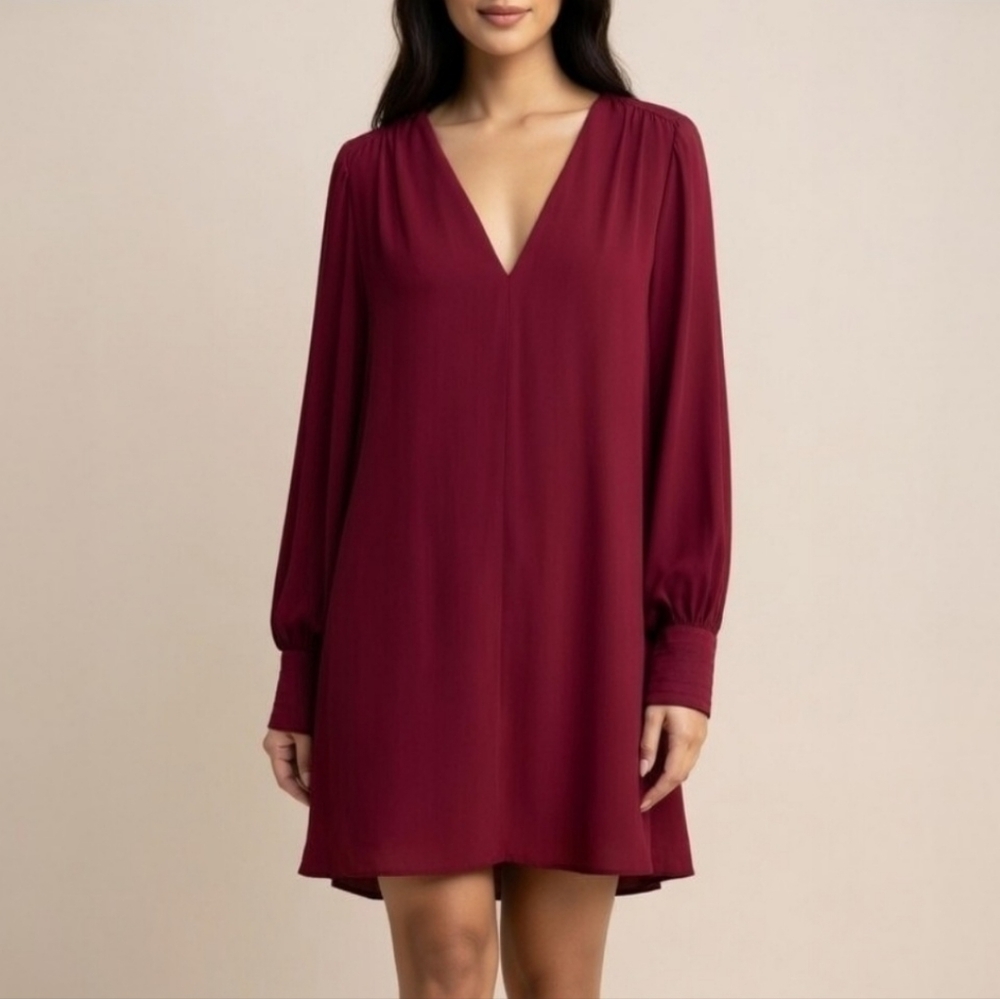 A New Day Burgundy Bishop Sleeve V-Neck A-Line Mini Dress Women's Large Romantic